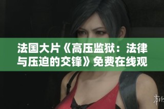 法国大片《高压监狱：法律与压迫的交锋》免费在线观看