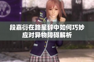 段嘉衍在路星辞中如何巧妙应对异物障碍解析
