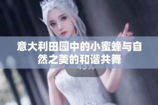 意大利田园中的小蜜蜂与自然之美的和谐共舞