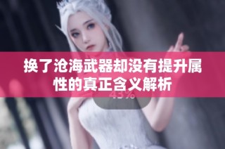 换了沧海武器却没有提升属性的真正含义解析