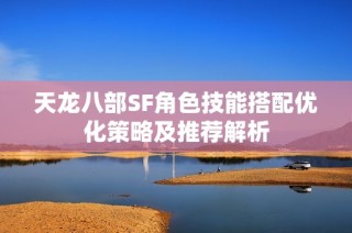 天龙八部SF角色技能搭配优化策略及推荐解析