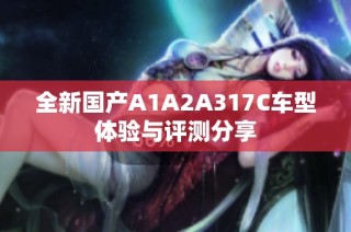全新国产A1A2A317C车型体验与评测分享