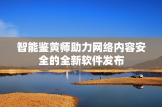 智能鉴黄师助力网络内容安全的全新软件发布