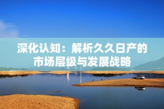 深化认知：解析久久日产的市场层级与发展战略