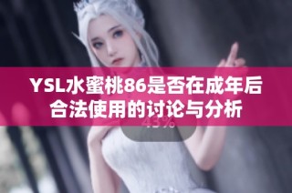 YSL水蜜桃86是否在成年后合法使用的讨论与分析