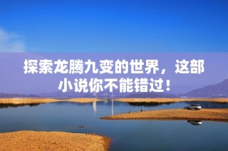 探索龙腾九变的世界，这部小说你不能错过！