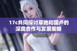 17c共同探讨草地和国卢的深度合作与发展策略