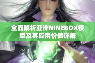 全面解析亚洲NINEBOX模型及其应用价值详解