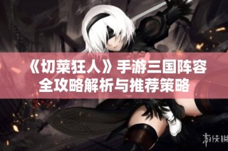 《切菜狂人》手游三国阵容全攻略解析与推荐策略