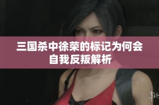 三国杀中徐荣的标记为何会自我反叛解析
