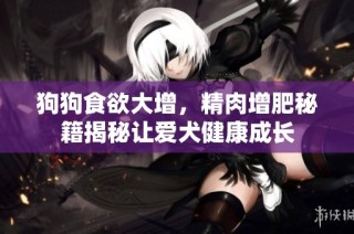 狗狗食欲大增，精肉增肥秘籍揭秘让爱犬健康成长
