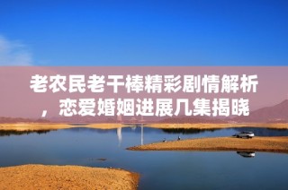 老农民老干棒精彩剧情解析，恋爱婚姻进展几集揭晓