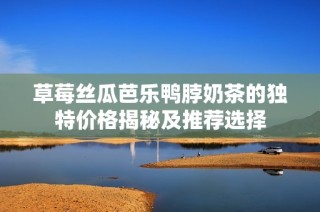 草莓丝瓜芭乐鸭脖奶茶的独特价格揭秘及推荐选择