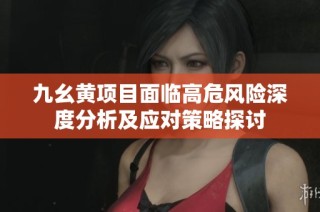 九幺黄项目面临高危风险深度分析及应对策略探讨