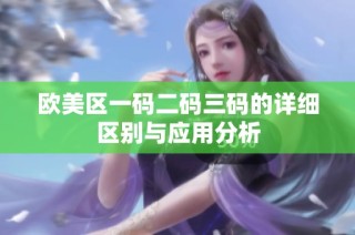欧美区一码二码三码的详细区别与应用分析