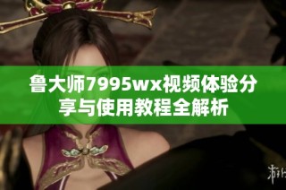 鲁大师7995wx视频体验分享与使用教程全解析