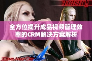 全方位提升成品视频管理效率的CRM解决方案解析