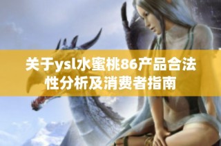 关于ysl水蜜桃86产品合法性分析及消费者指南