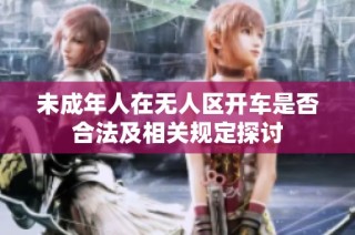 未成年人在无人区开车是否合法及相关规定探讨