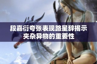 段嘉衍夸张表现路星辞揭示夹杂异物的重要性