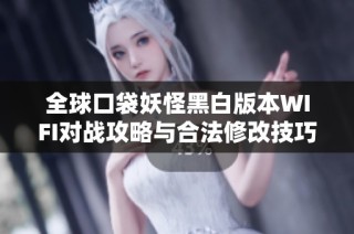 全球口袋妖怪黑白版本WIFI对战攻略与合法修改技巧分享
