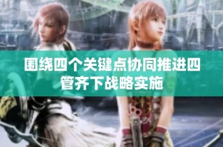 围绕四个关键点协同推进四管齐下战略实施