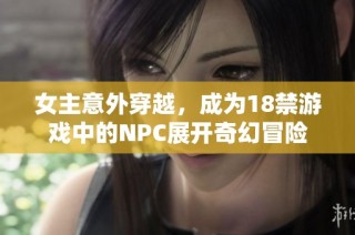 女主意外穿越，成为18禁游戏中的NPC展开奇幻冒险