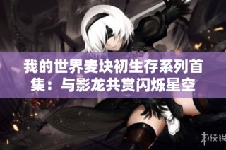 我的世界麦块初生存系列首集：与影龙共赏闪烁星空