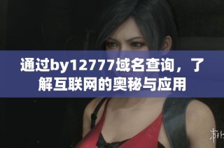 通过by12777域名查询，了解互联网的奥秘与应用