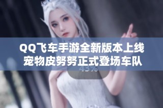 QQ飞车手游全新版本上线 宠物皮努努正式登场车队商店