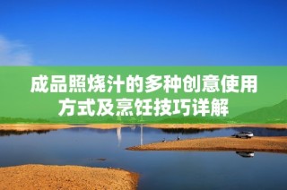 成品照烧汁的多种创意使用方式及烹饪技巧详解