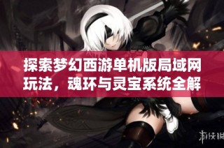 探索梦幻西游单机版局域网玩法，魂环与灵宝系统全解析