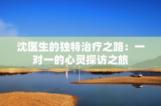 沈医生的独特治疗之路：一对一的心灵探访之旅