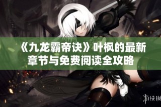 《九龙霸帝诀》叶枫的最新章节与免费阅读全攻略