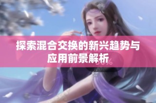探索混合交换的新兴趋势与应用前景解析