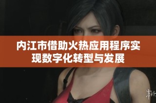 内江市借助火热应用程序实现数字化转型与发展
