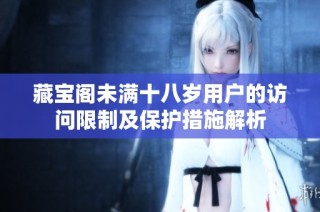 藏宝阁未满十八岁用户的访问限制及保护措施解析
