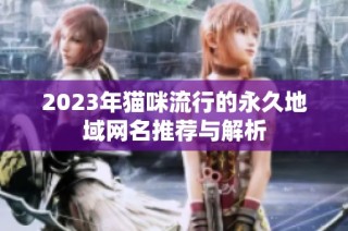 2023年猫咪流行的永久地域网名推荐与解析