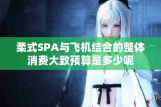 柔式SPA与飞机结合的整体消费大致预算是多少呢