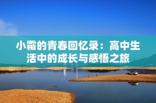 小霜的青春回忆录：高中生活中的成长与感悟之旅