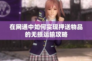 在网通中如何实现押送物品的无损运输攻略