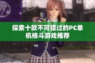 探索十款不可错过的PC单机格斗游戏推荐