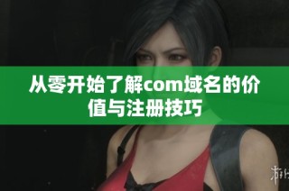 从零开始了解com域名的价值与注册技巧
