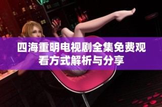 四海重明电视剧全集免费观看方式解析与分享