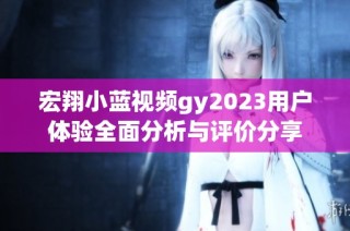 宏翔小蓝视频gy2023用户体验全面分析与评价分享