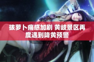 拔萝卜痛感加剧 黄岐景区再度遇到降黄预警