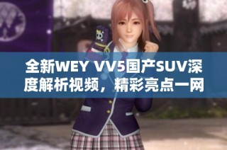 全新WEY VV5国产SUV深度解析视频，精彩亮点一网打尽