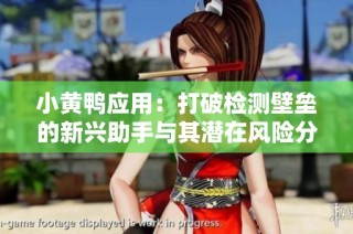 小黄鸭应用：打破检测壁垒的新兴助手与其潜在风险分析