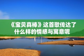 《宝贝真棒》这首歌传达了什么样的情感与寓意呢