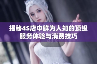 揭秘4S店中鲜为人知的顶级服务体验与消费技巧